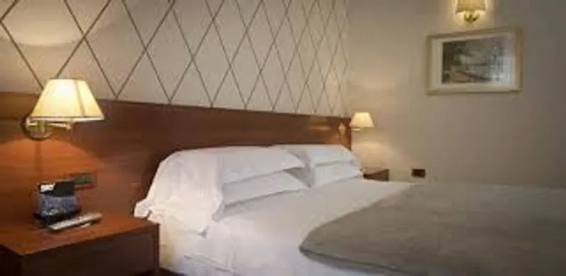 Hotel Leonessa Volla